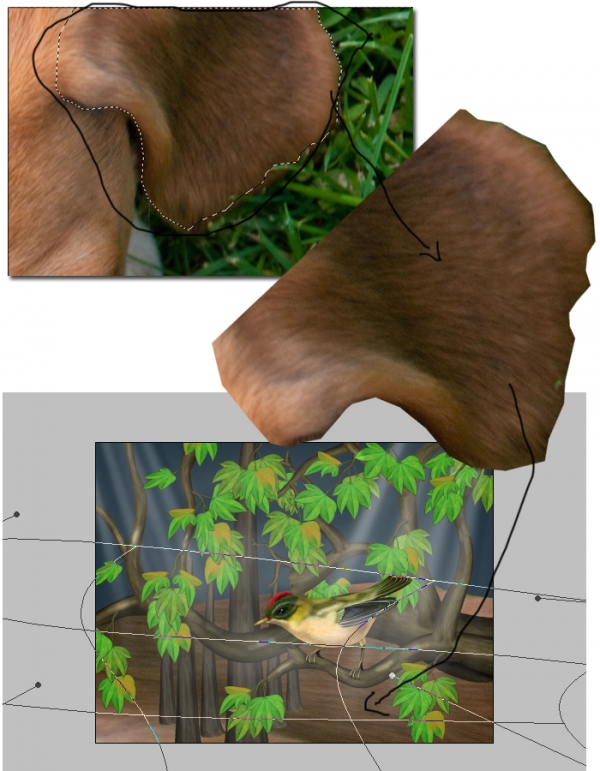 Creation of Breeze of Dawn: Step 16